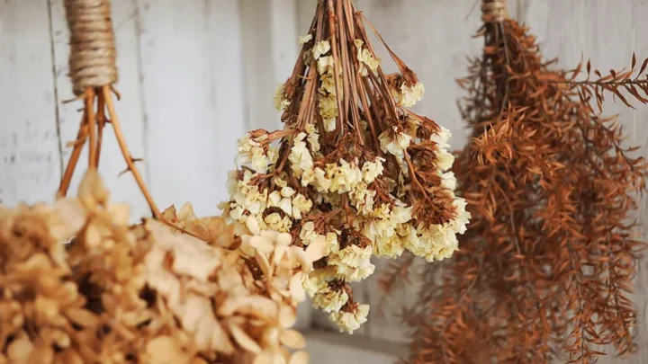 Cómo secar flores y decorar con flores secas
