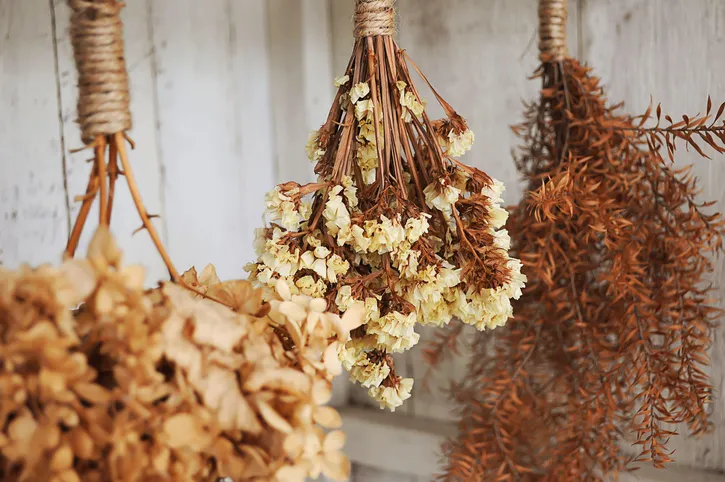 Cómo secar flores y decorar con flores secas