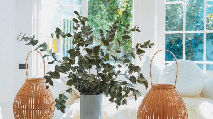 4 consejos de decoración de interiores