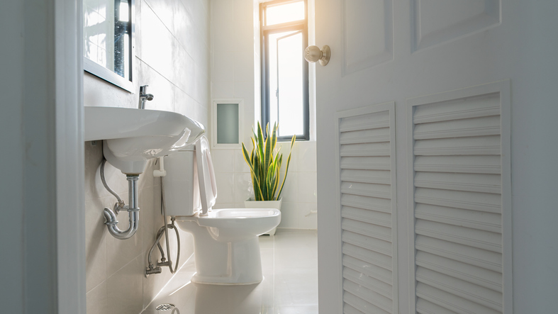 Decoración de hogar: el diseño del baño