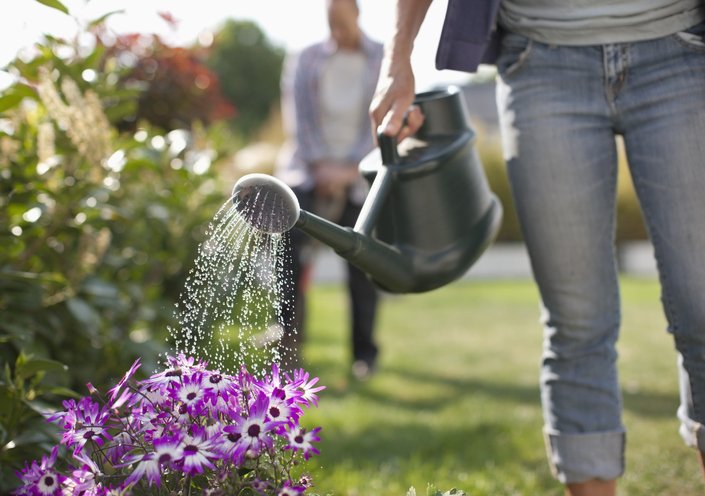 Jardín diseñado con paisajismo sostenible
