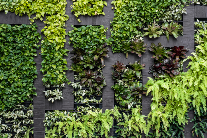 jardín vertical de exterior