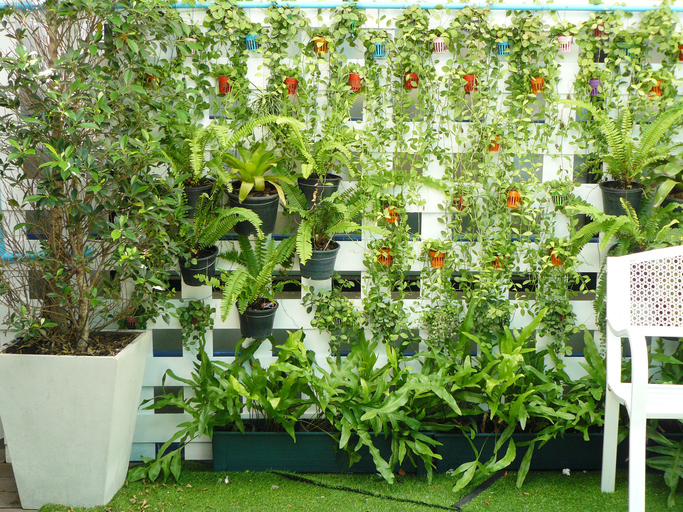 jardín vertical casero